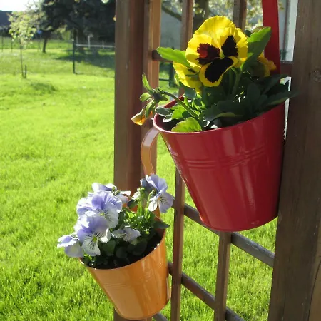 Pfeiffer's Апартаменты Diehsa