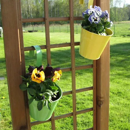 Pfeiffer's Апартаменты Diehsa