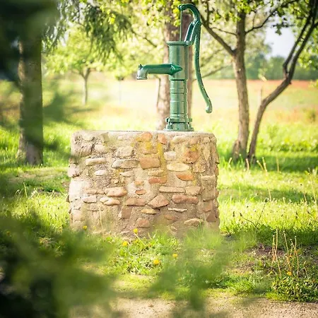 Апартаменты Pfeiffer's Diehsa